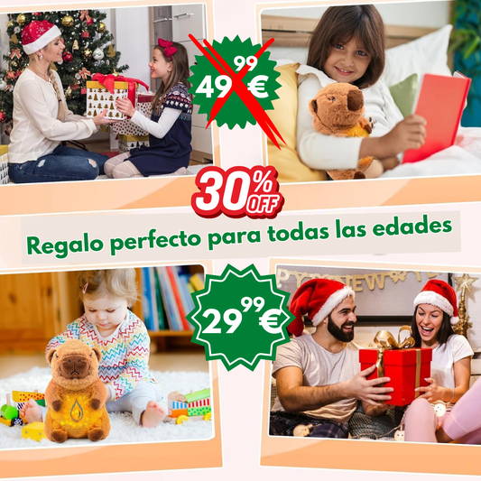 Peluche Kapibara + bolsita + envío GRATIS!!