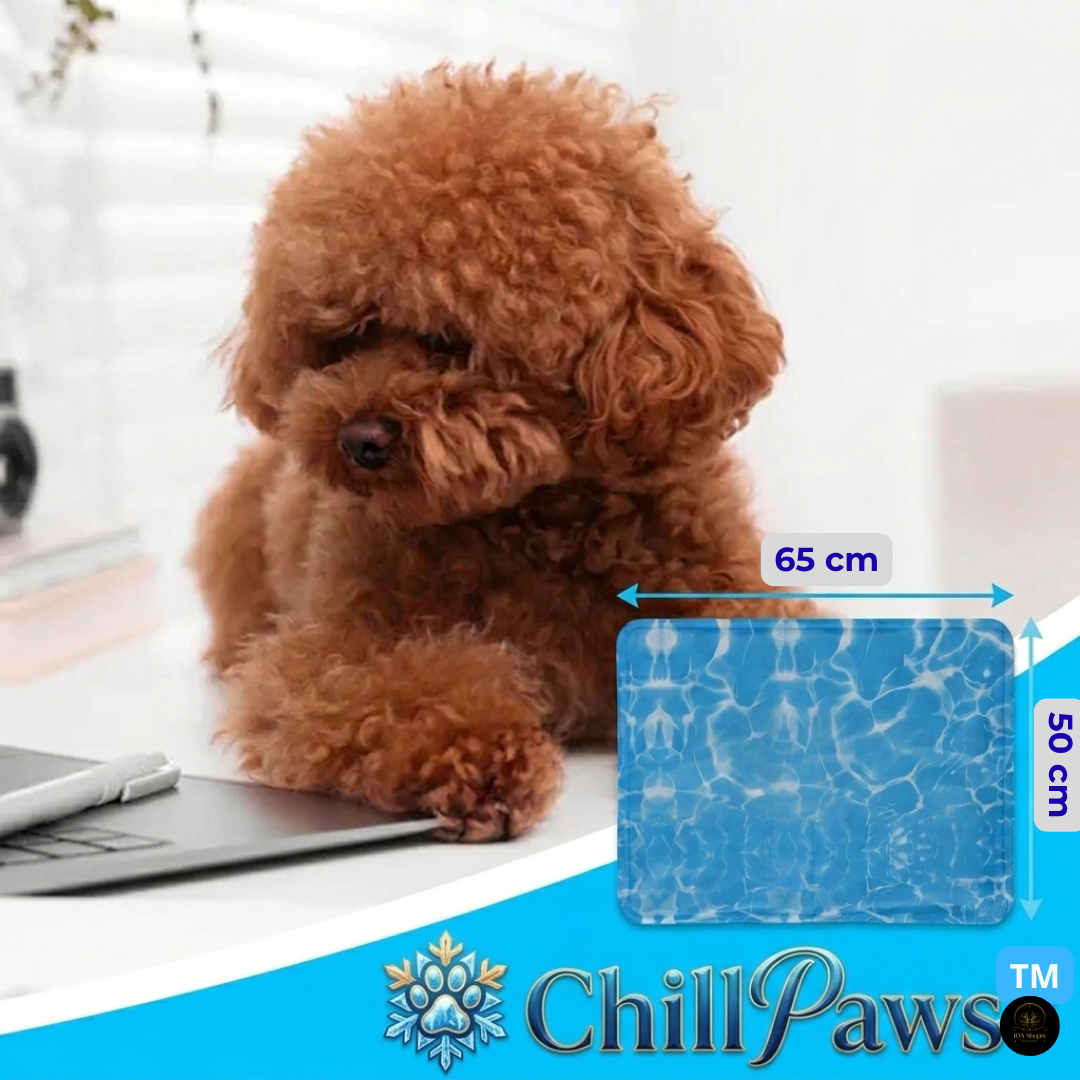 ChillPaws Mat – esterilla refrescante para mascotas