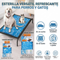 Vista 6